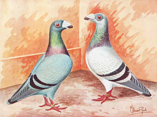 Dragons (Van Gink, 1925)