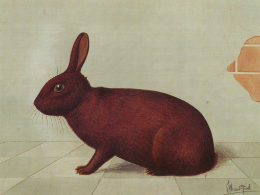 Havana (Van Gink, 1924)